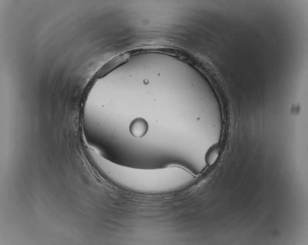X0000115411457200911171347