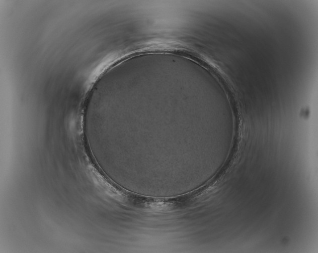 X0000115411459200911171347