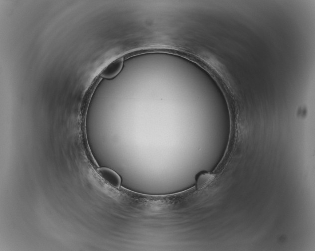 X0000115411460200911171347