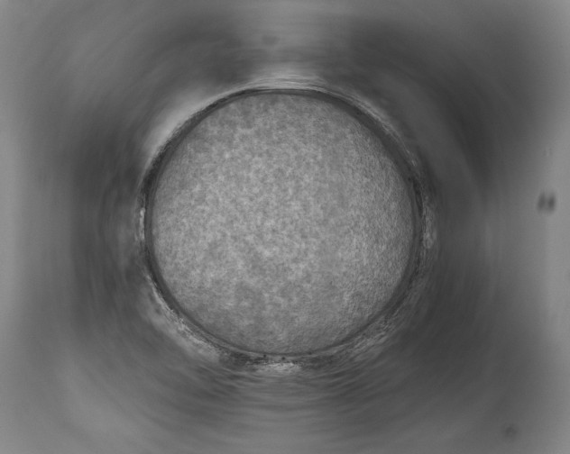X0000115411462200911171347