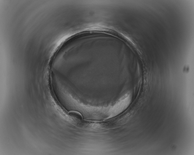 X0000115411463200911171347