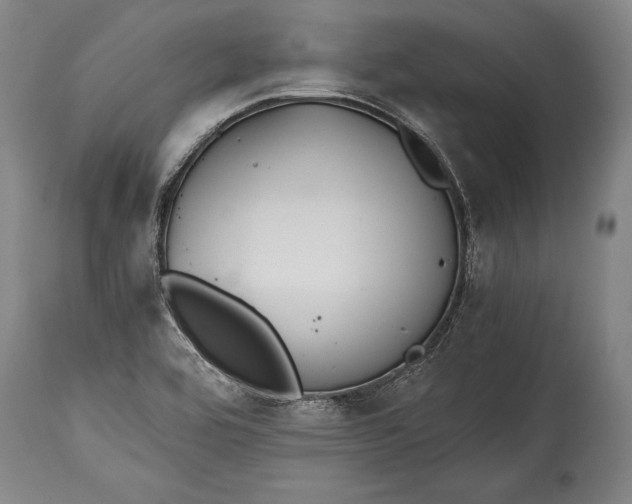 X0000115411464200911171347