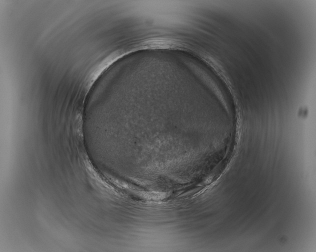 X0000115411465200911171347
