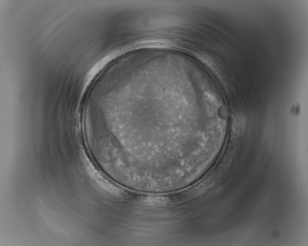 X0000115411466200911171347