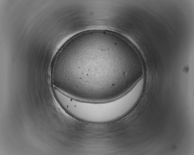 X0000115411468200911171347
