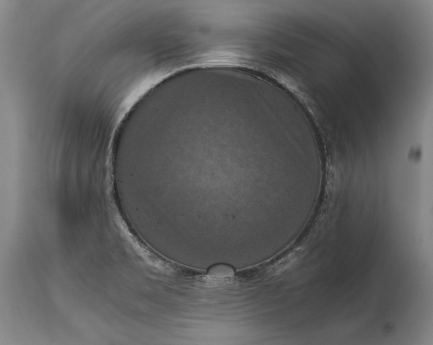 X0000115411469200911171347