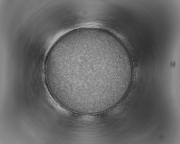 X0000115411470200911171347