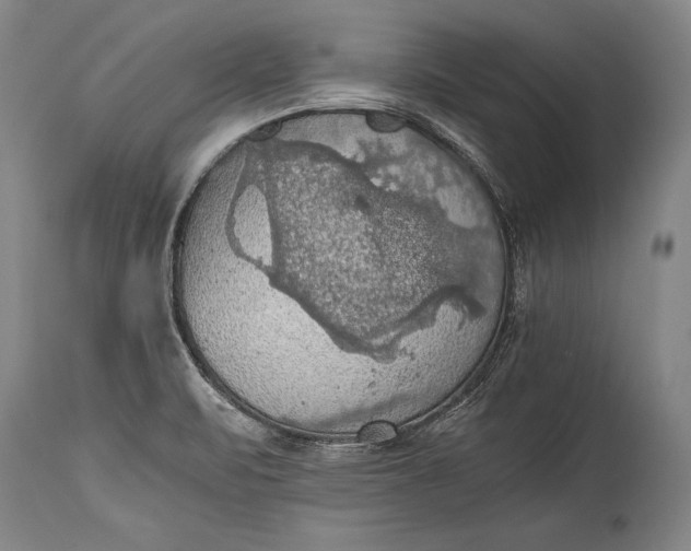 X0000115411471200911171347