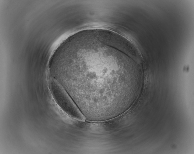 X0000115411472200911171347