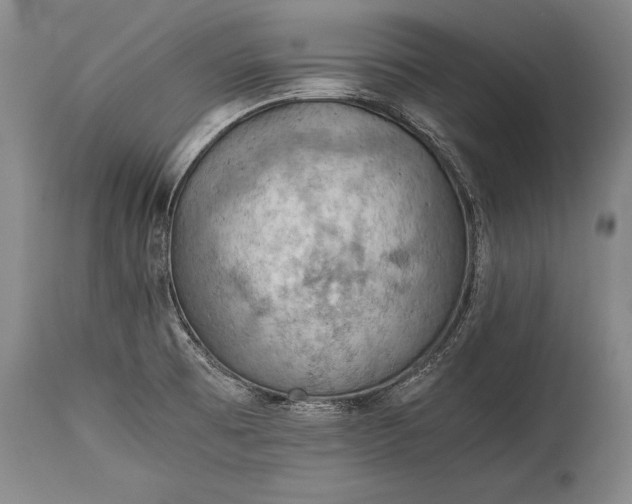 X0000115411473200911171347