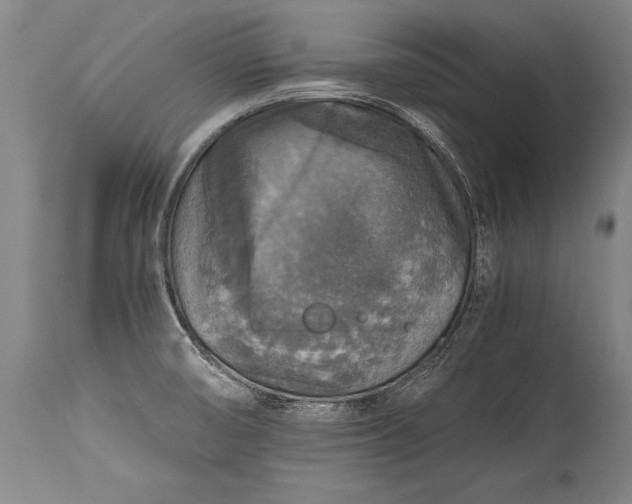 X0000115411474200911171347