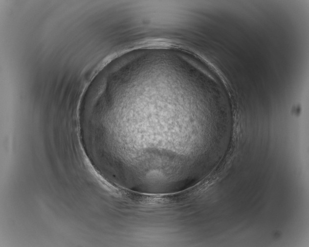 X0000115411475200911171347