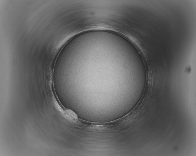 X0000115411476200911171347