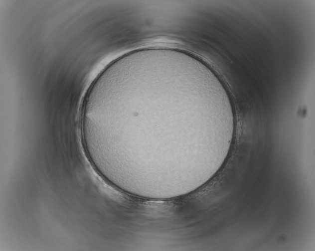 X0000115411478200911171347