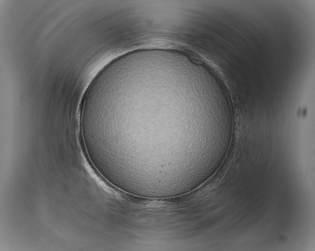 X0000115411479200911171347