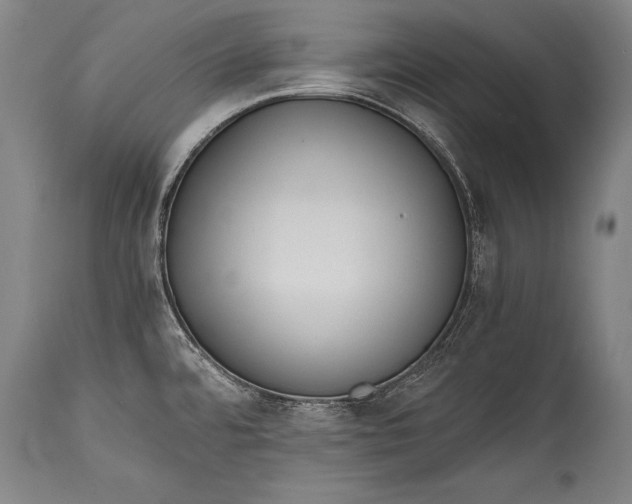 X0000115411480200911171347