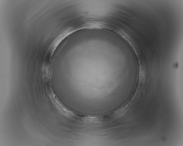 X0000115411481200911171347