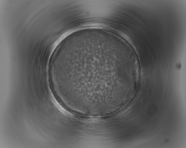 X0000115411482200911171347