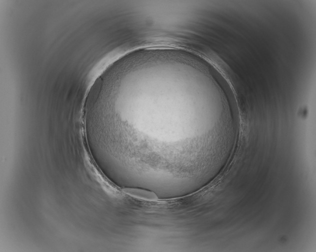 X0000115411485200911171347