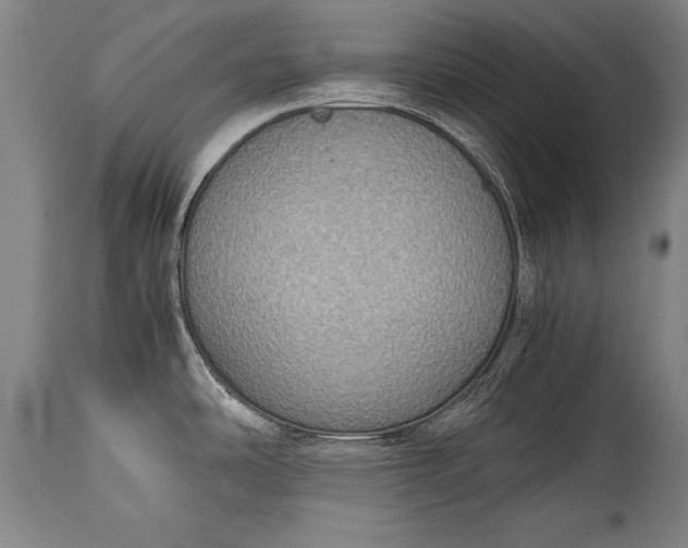 X0000115411486200911171347