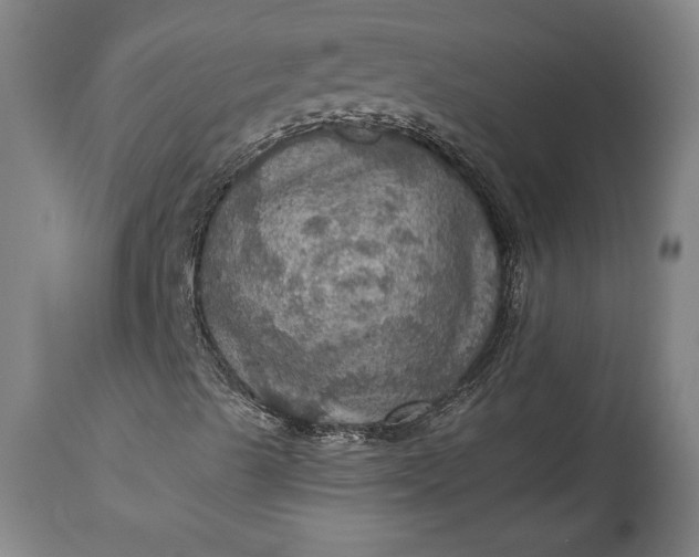 X0000115411489200911171346