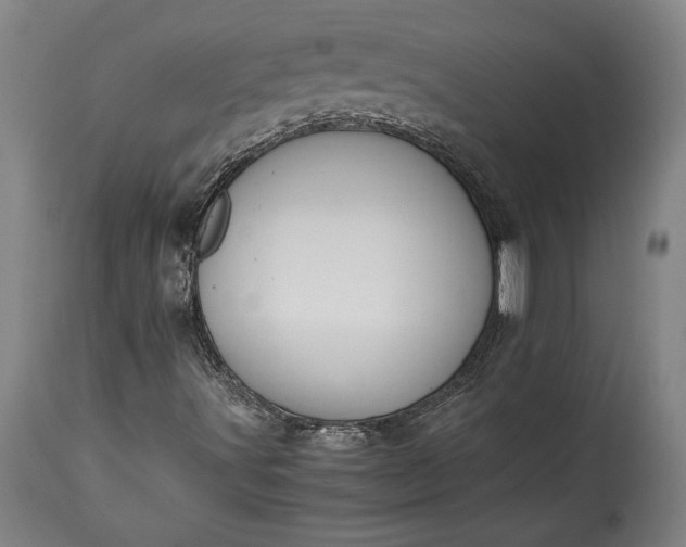 X0000115411491200911171346