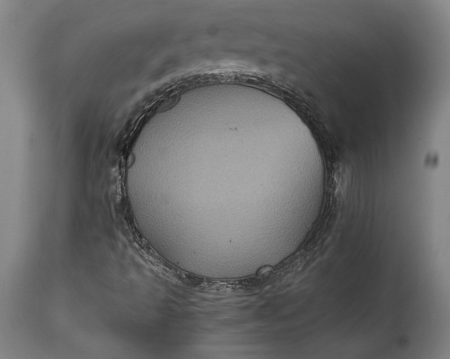 X0000115411493200911171346