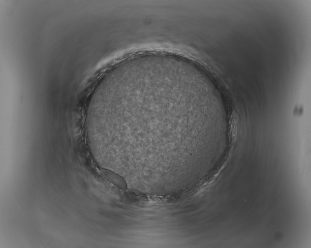 X0000115411494200911171346
