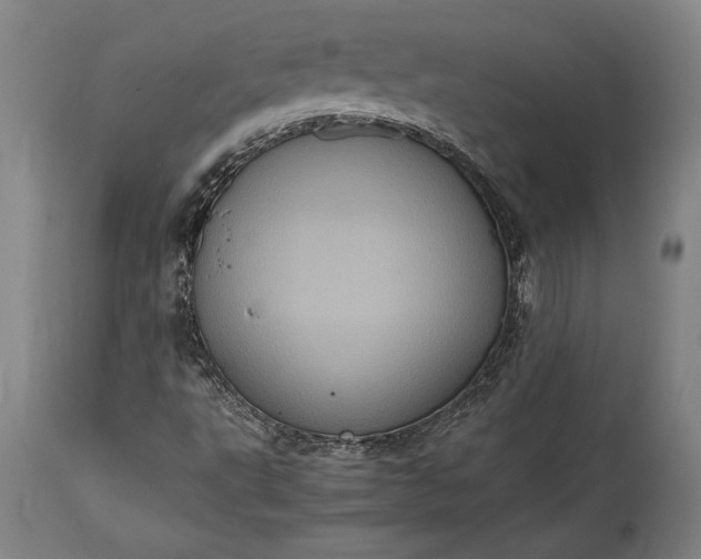 X0000115411495200911171346