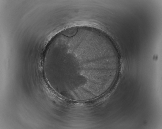 X0000115411497200911171346