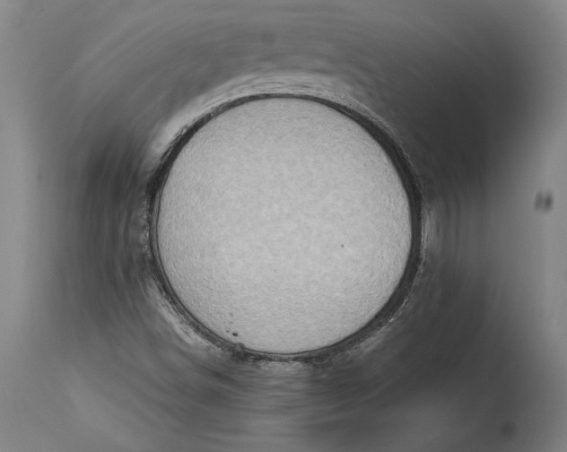 X0000115411498200911171346