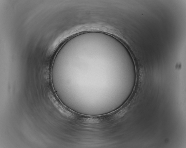 X0000115411499200911171346