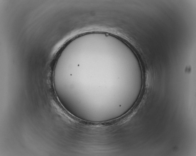 X0000115411502200911171346