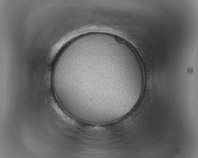 X0000115411503200911171347