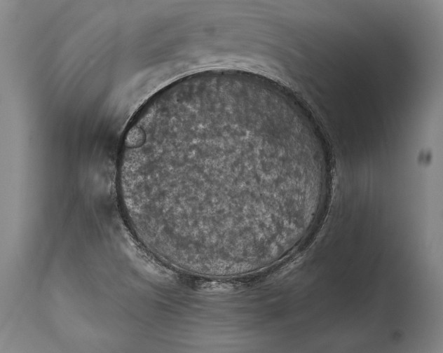 X0000115411505200911171347