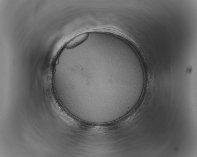 X0000115411506200911171347