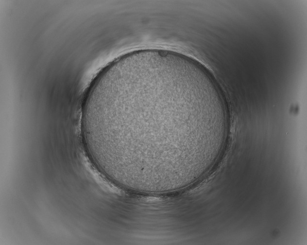X0000115411507200911171347