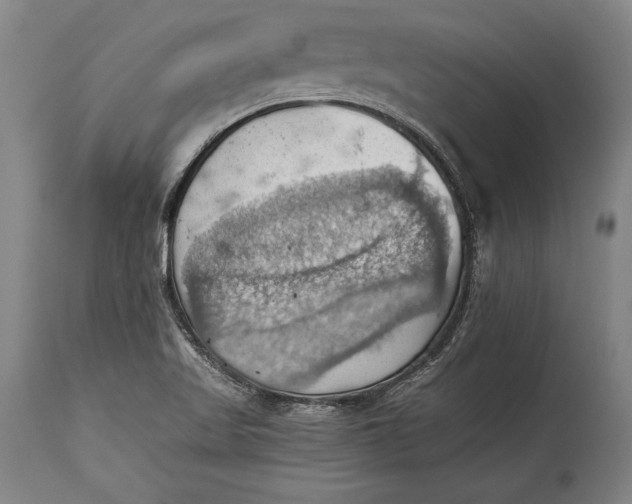 X0000115411509200911171347