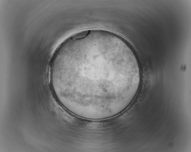 X0000115411510200911171347