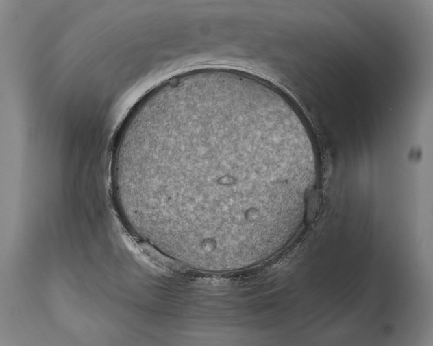 X0000115411511200911171347