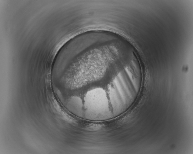 X0000115411513200911171347