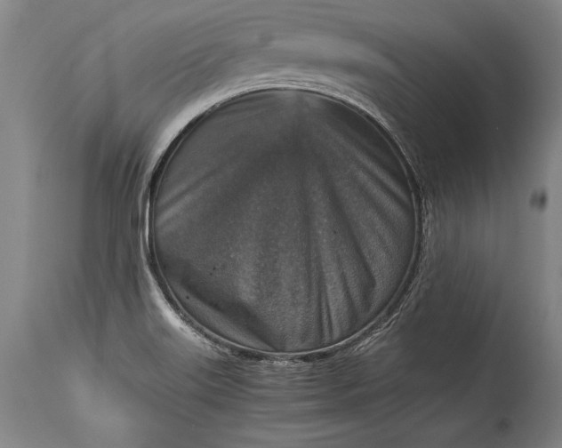 X0000115411515200911171347