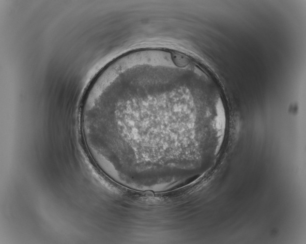 X0000115411517200911171347