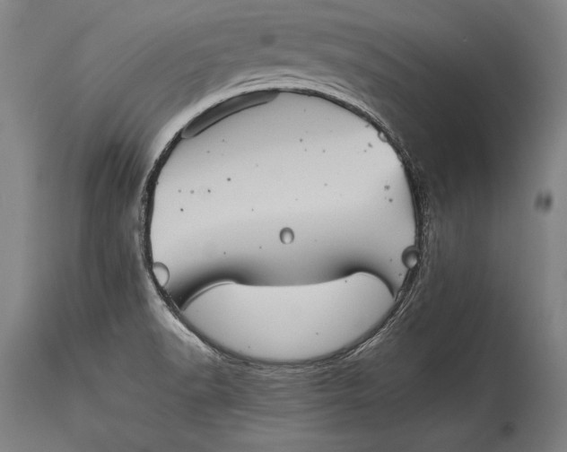 X0000115411518200911171347
