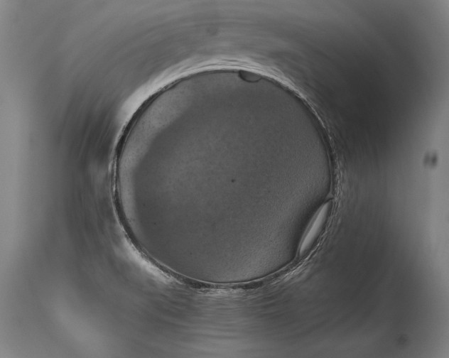 X0000115411519200911171347