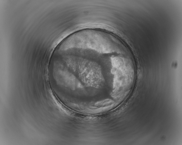 X0000115411521200911171347