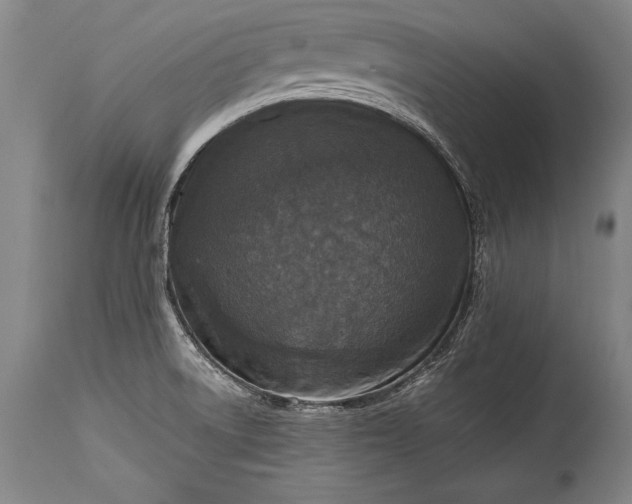 X0000115411522200911171347