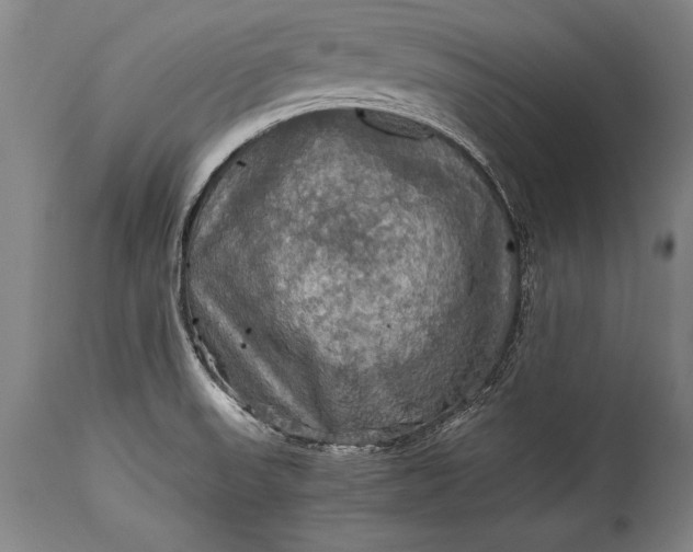 X0000115411523200911171347