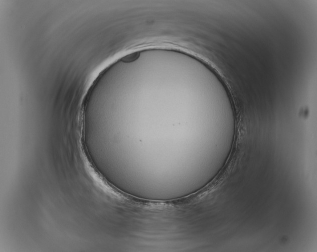 X0000115411526200911171347