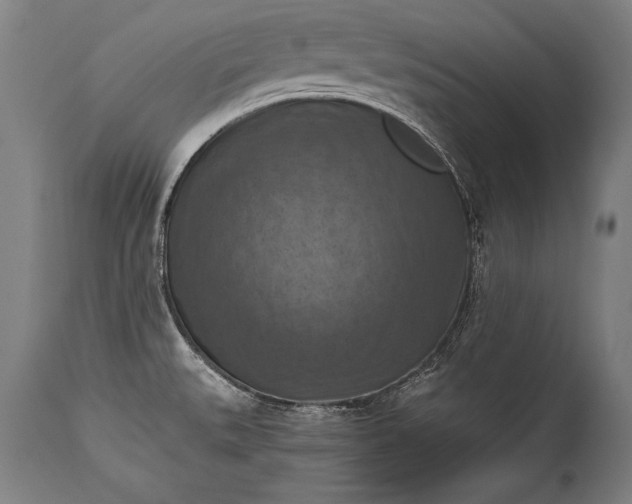 X0000115411527200911171347